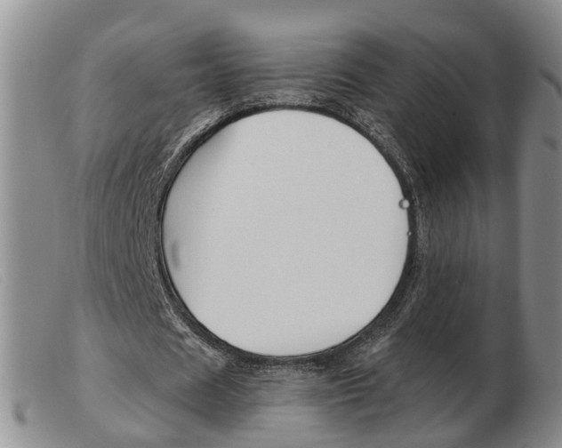 X0000103930625200809191124