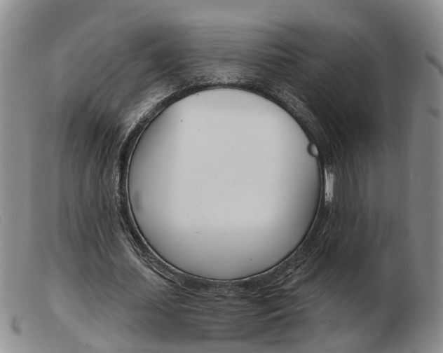 X0000103930627200809191124