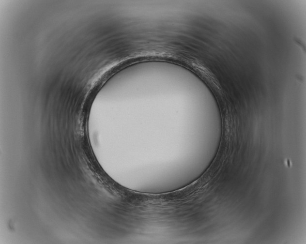 X0000103930628200809191124