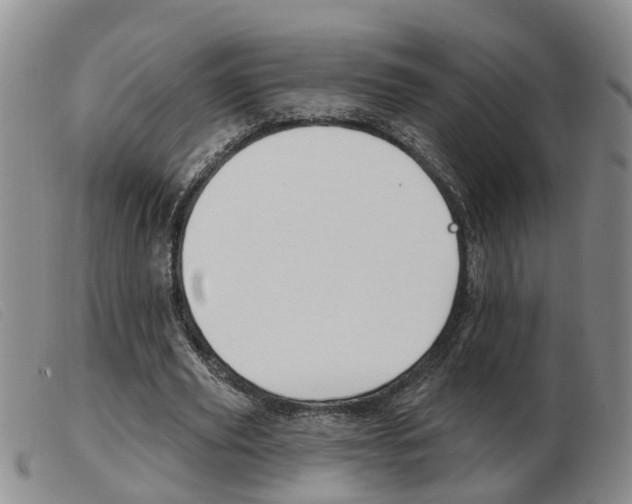 X0000103930629200809191124
