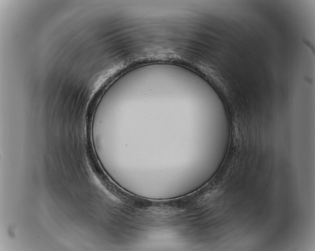 X0000103930630200809191124