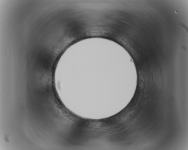 X0000103930631200809191124