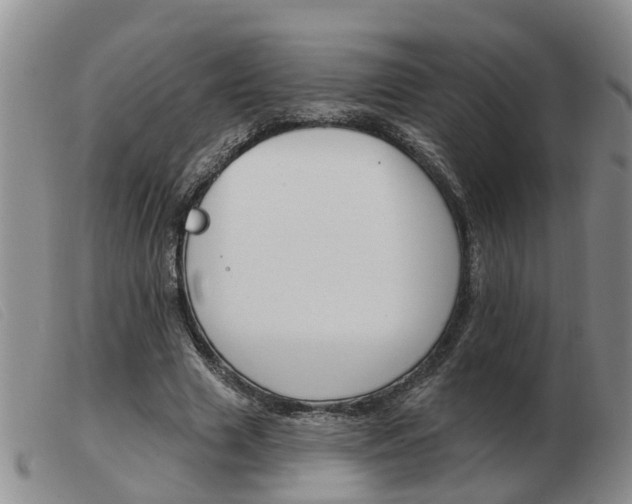 X0000103930633200809191124