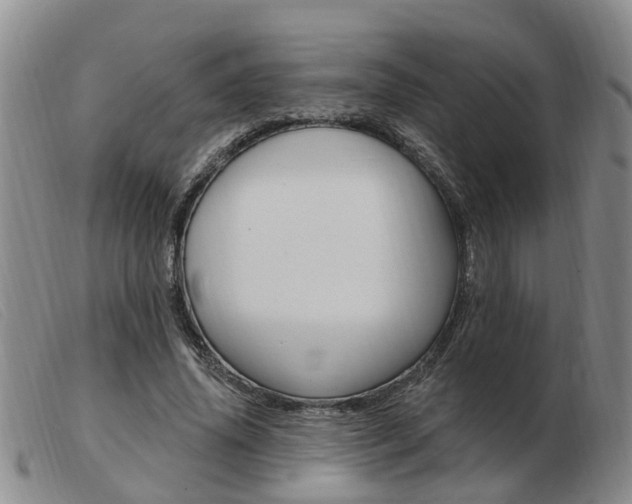 X0000103930636200809191125