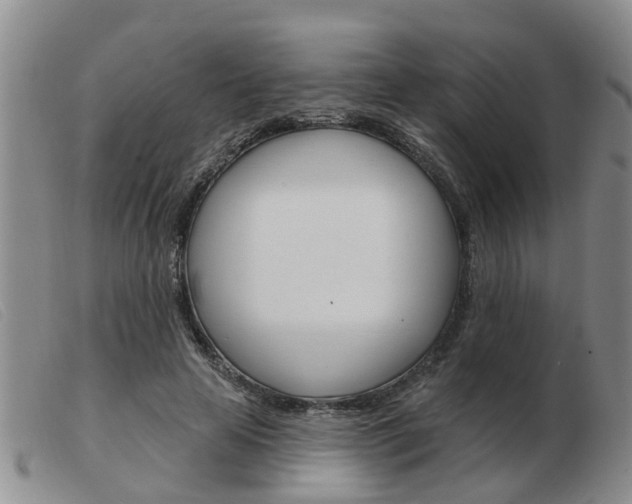 X0000103930641200809191125