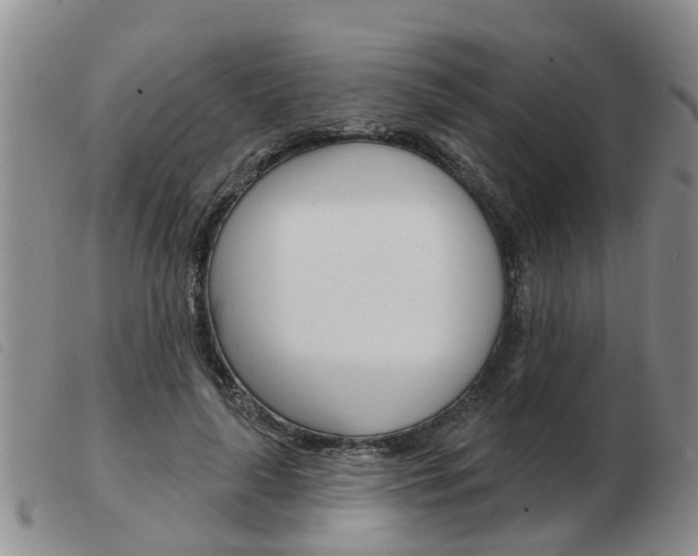 X0000103930643200809191125