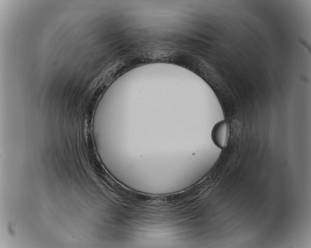 X0000103930644200809191125