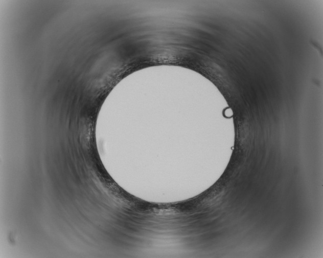 X0000103930645200809191125