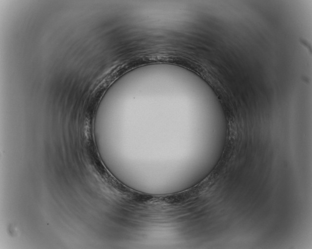 X0000103930648200809191125