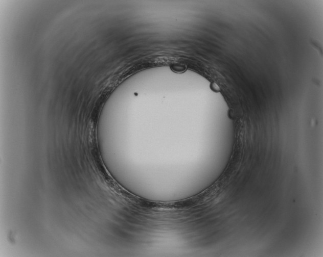 X0000103930649200809191125