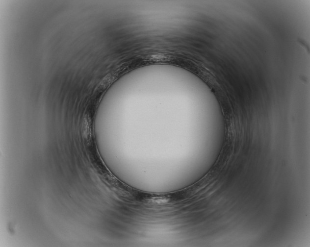 X0000103930651200809191125
