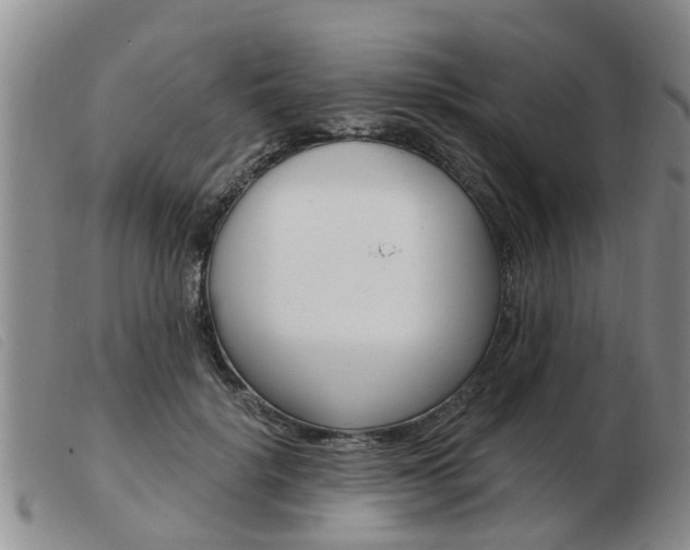 X0000103930652200809191125