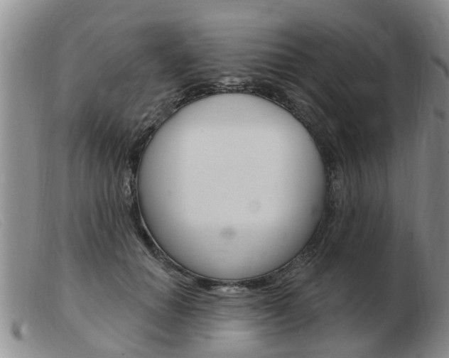 X0000103930654200809191125