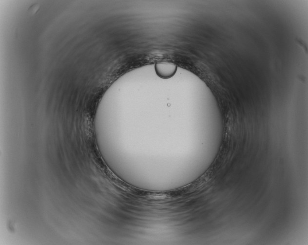 X0000103930659200809191125