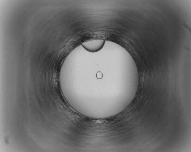 X0000103930663200809191125