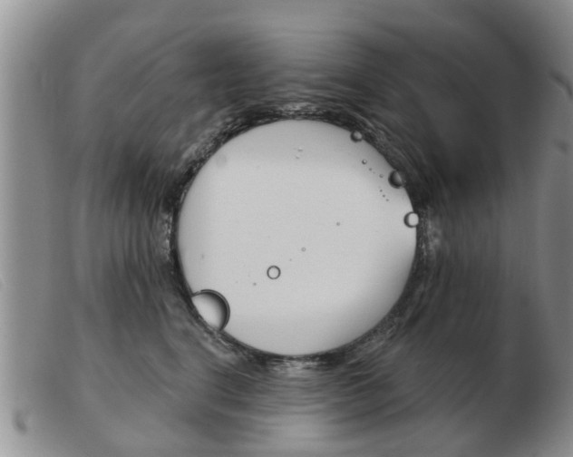 X0000103930664200809191125