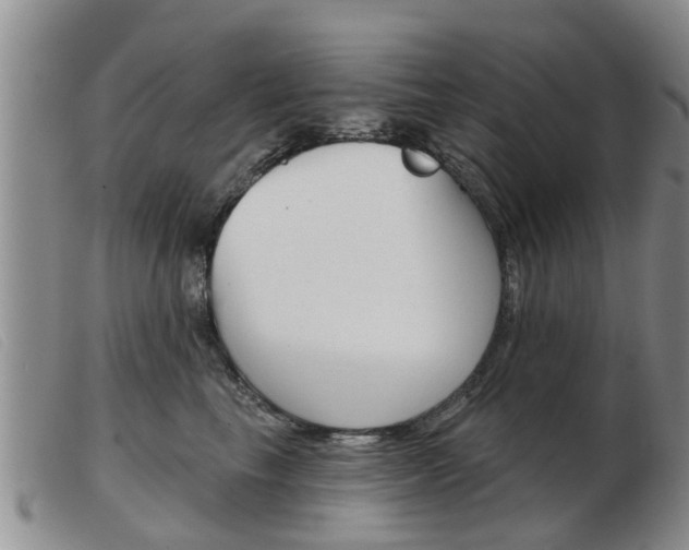 X0000103930665200809191125