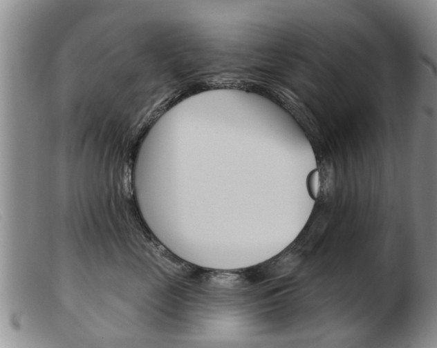 X0000103930669200809191125
