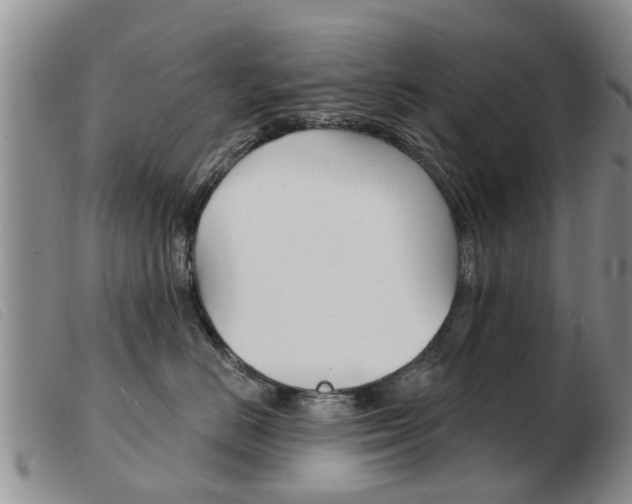X0000103930670200809191125