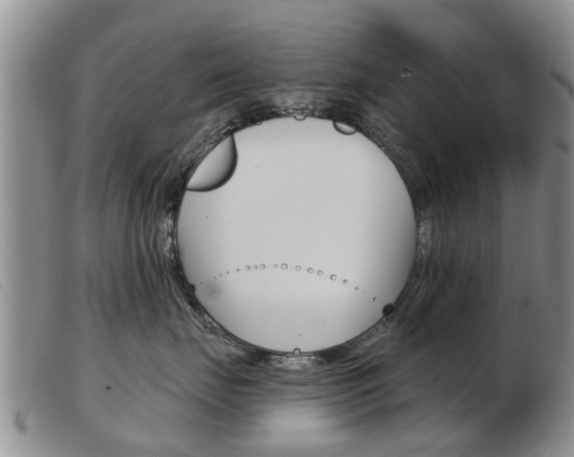 X0000103930671200809191125