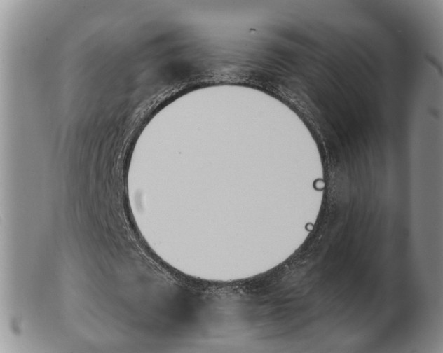 X0000103930673200809191124