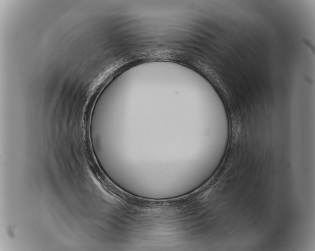 X0000103930674200809191124