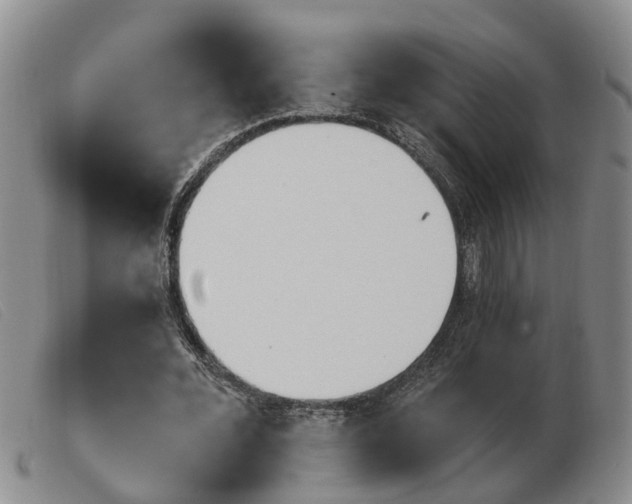 X0000103930676200809191124