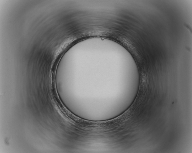 X0000103930678200809191124