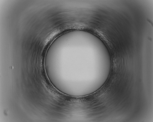 X0000103930679200809191124