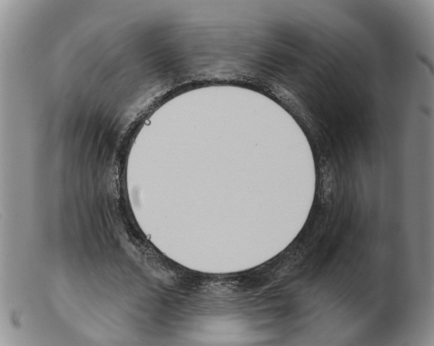 X0000103930680200809191124