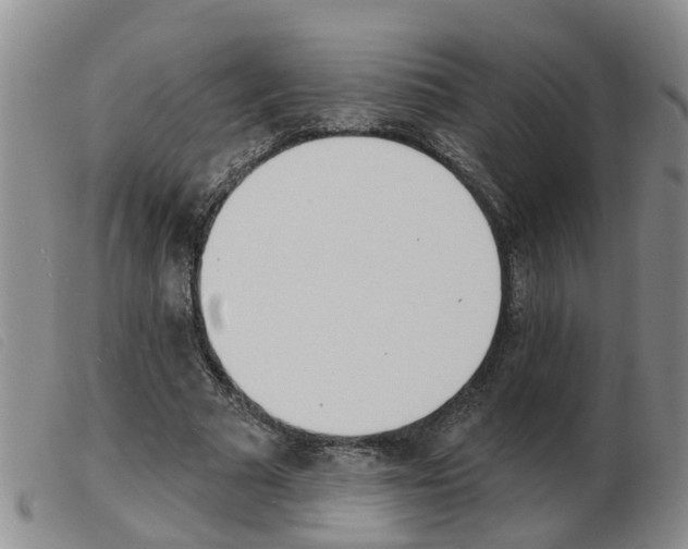 X0000103930681200809191124