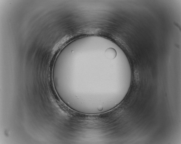 X0000103930682200809191124