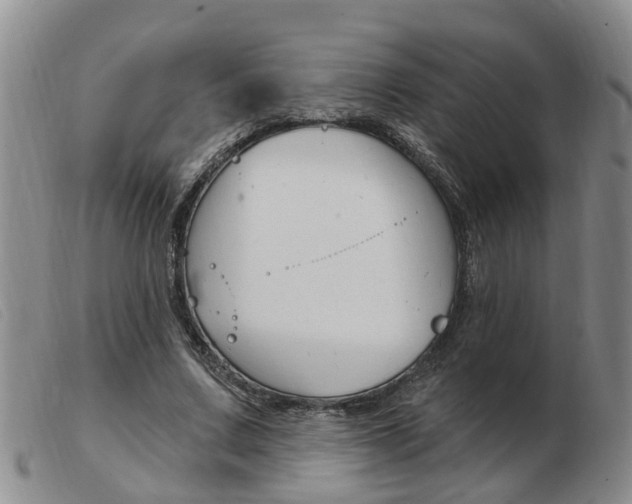 X0000103930683200809191124