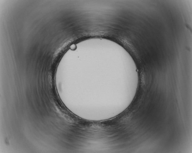 X0000103930684200809191124
