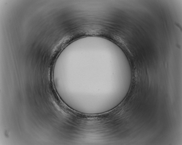 X0000103930686200809191124