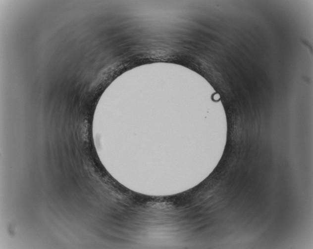 X0000103930689200809191124