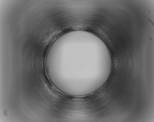 X0000103930690200809191124