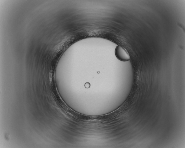 X0000103930691200809191124