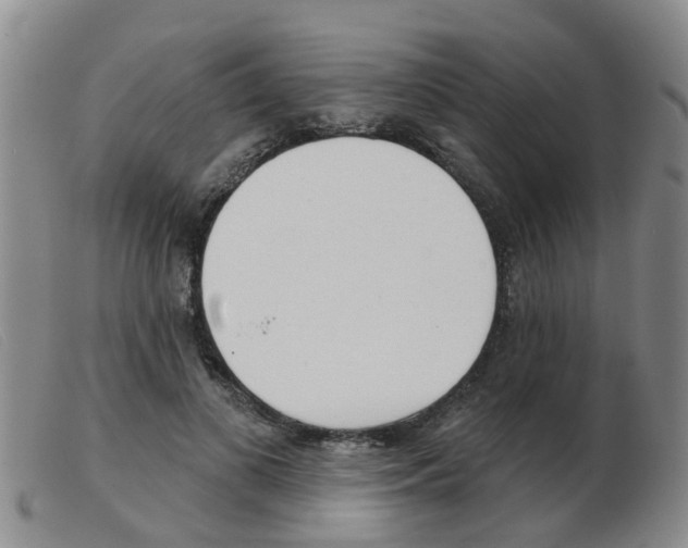 X0000103930693200809191124