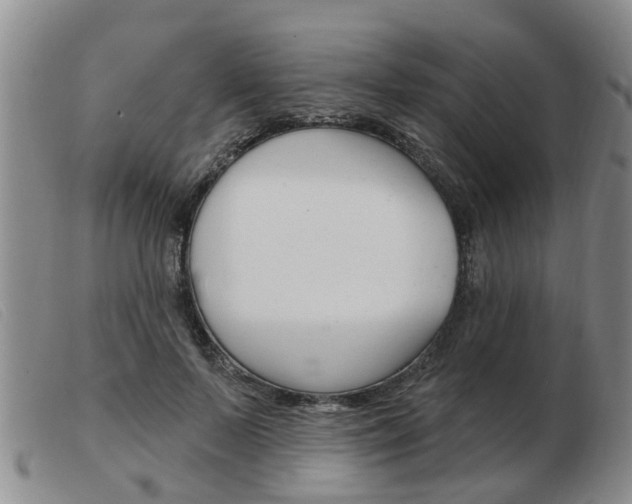 X0000103930695200809191124