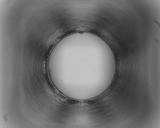 X0000103930696200809191124