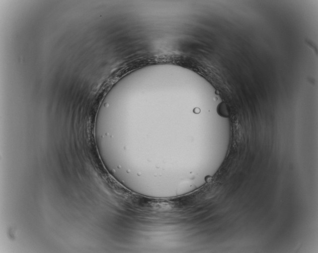 X0000103930698200809191124