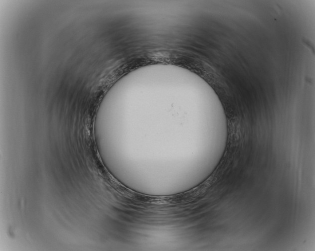 X0000103930702200809191124