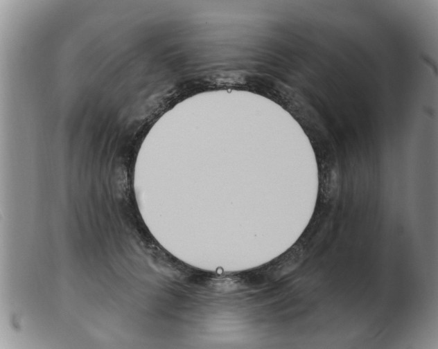 X0000103930704200809191124