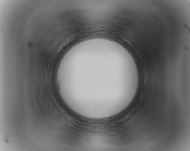 X0000103930705200809191124