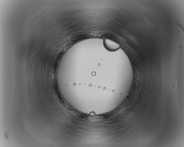 X0000103930707200809191124