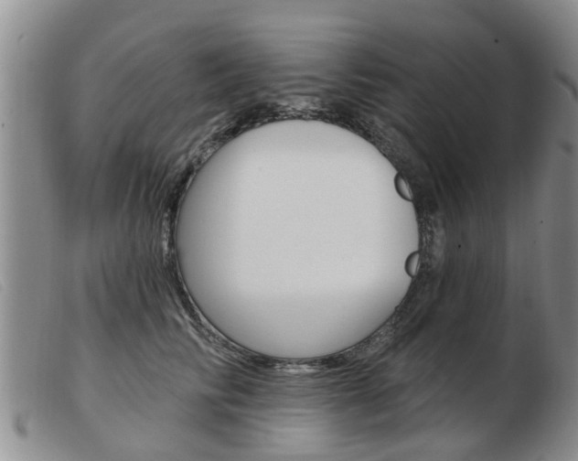 X0000103930710200809191124