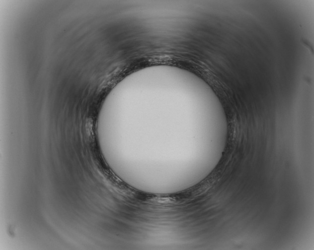 X0000103930711200809191124