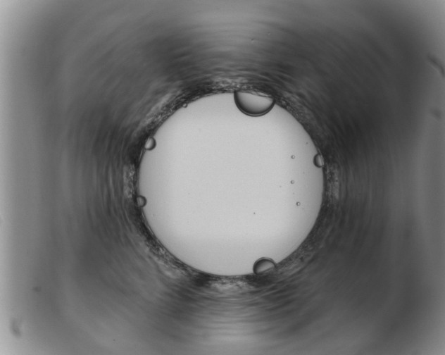 X0000103930712200809191124