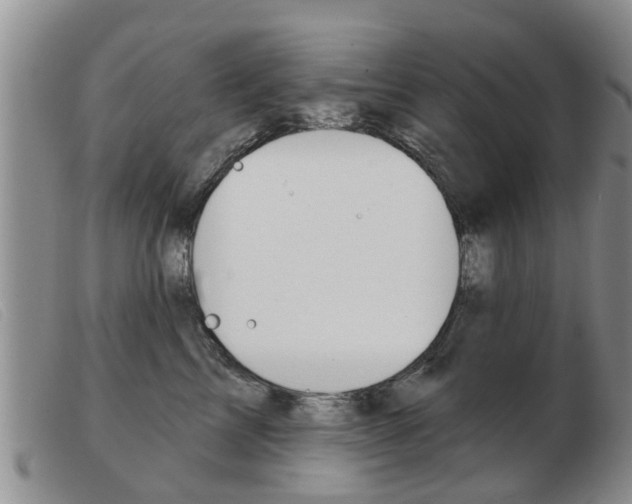 X0000103930713200809191124